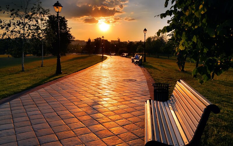 Sunset in the park