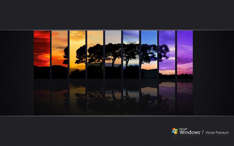 sunset landscape with trees