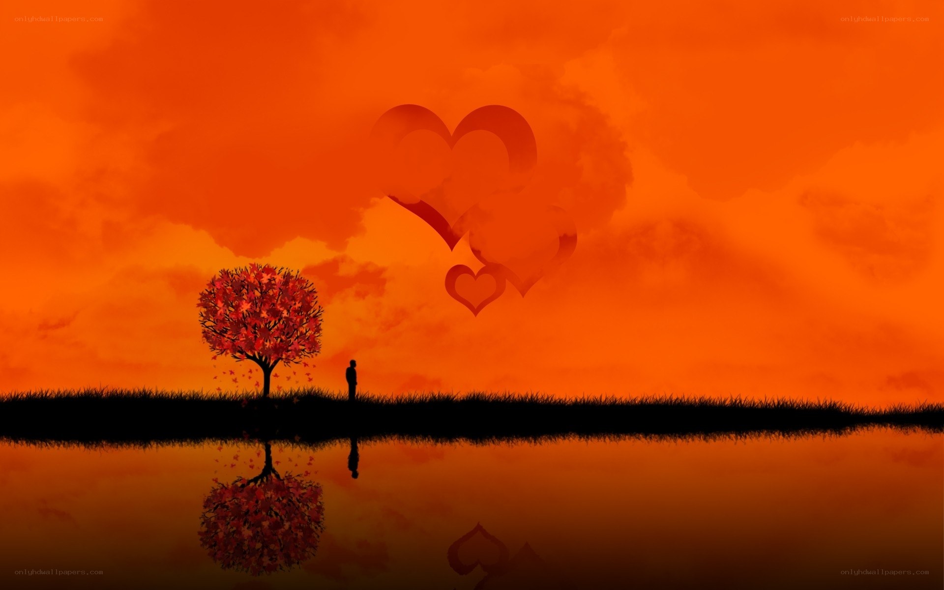 sunset love scene