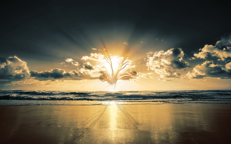 Sunset octopus on beach