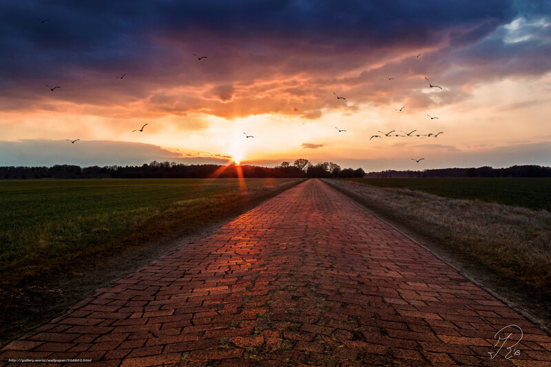Sunset on a Brick Path