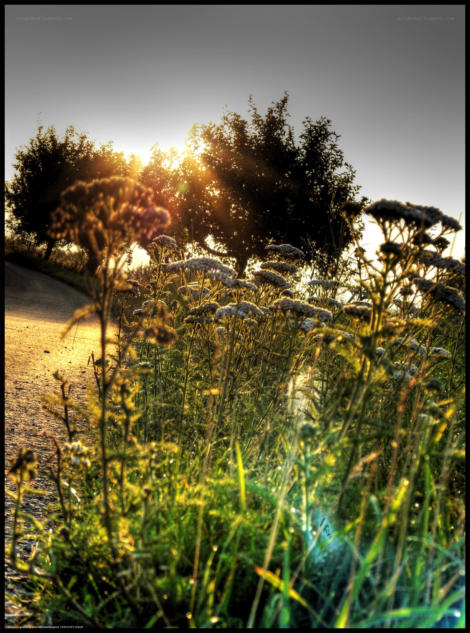 Sunset on a country path