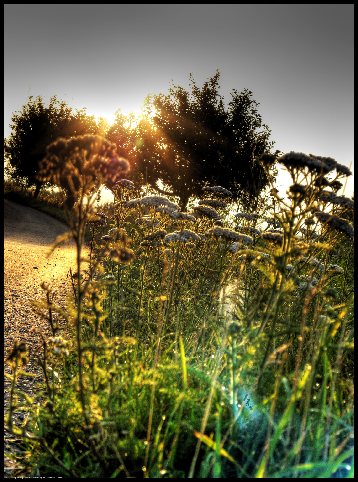 Sunset on a country path