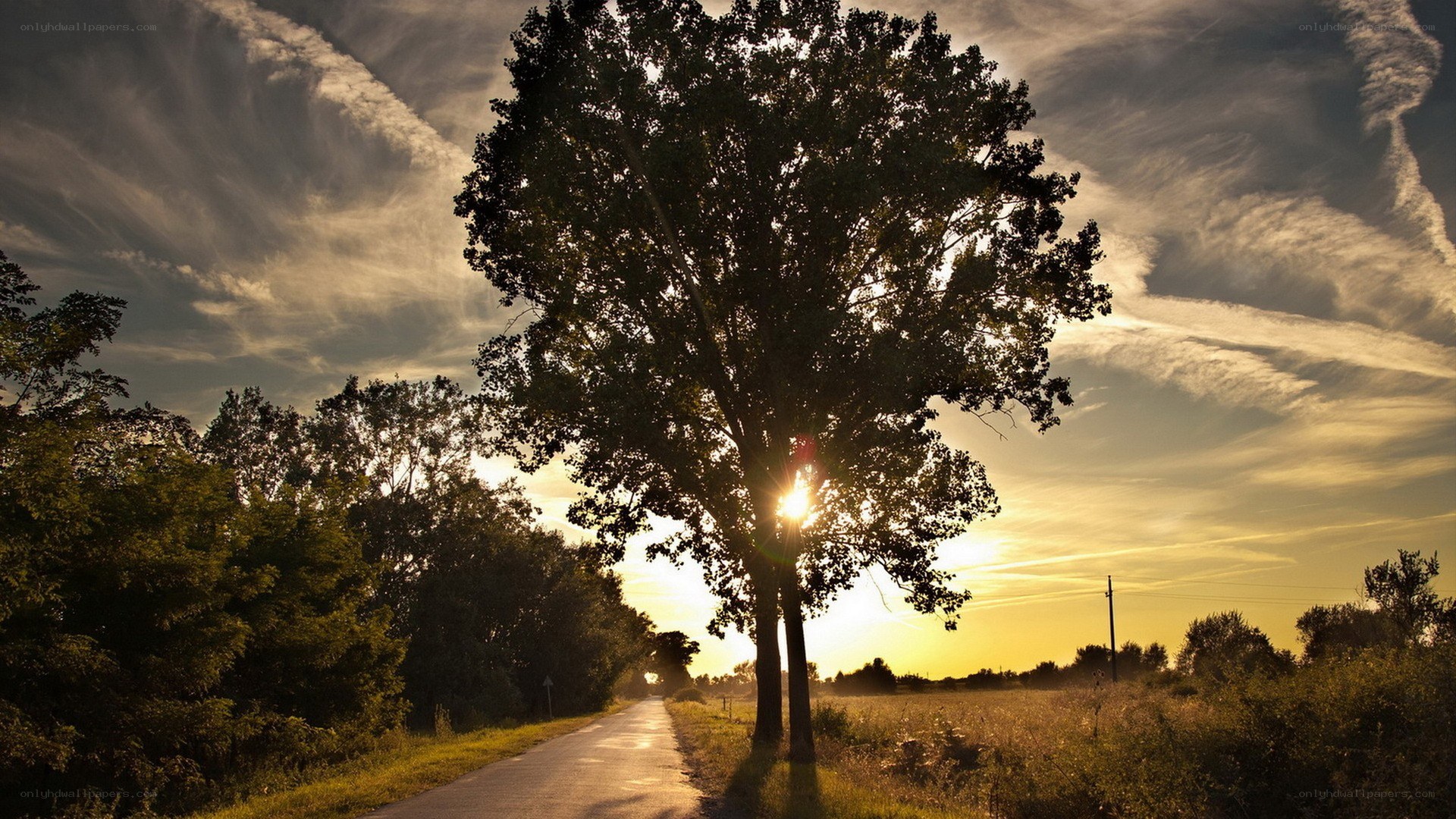 Sunset on a country road