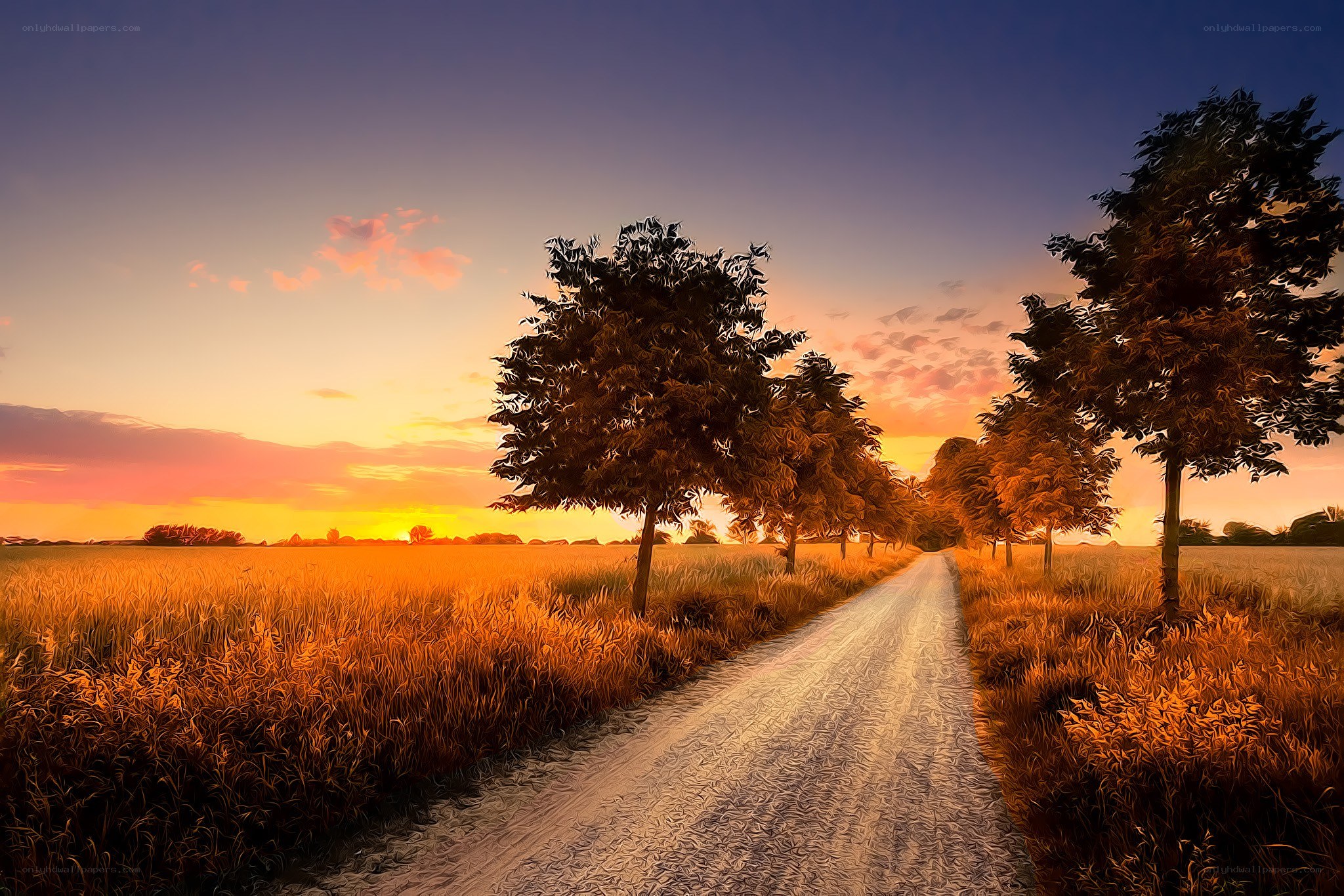 Sunset on a country road