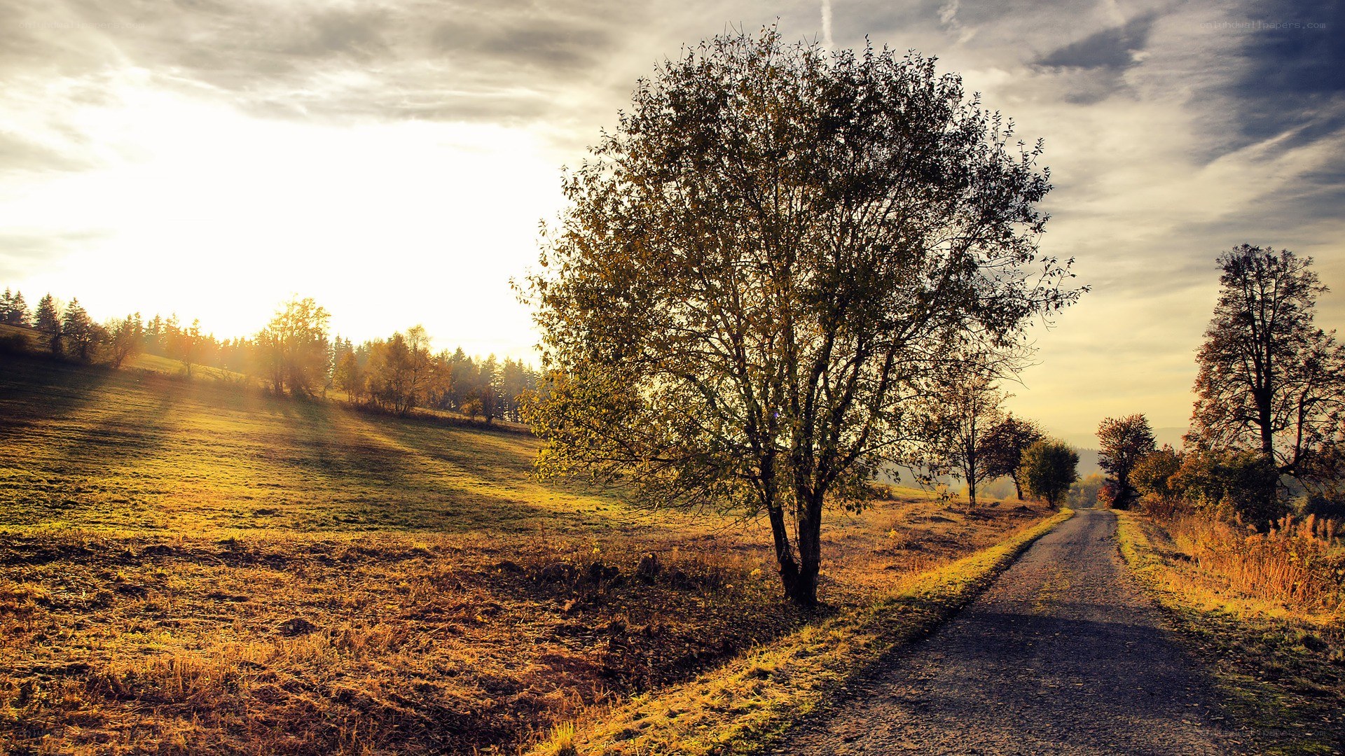 Sunset on a country road