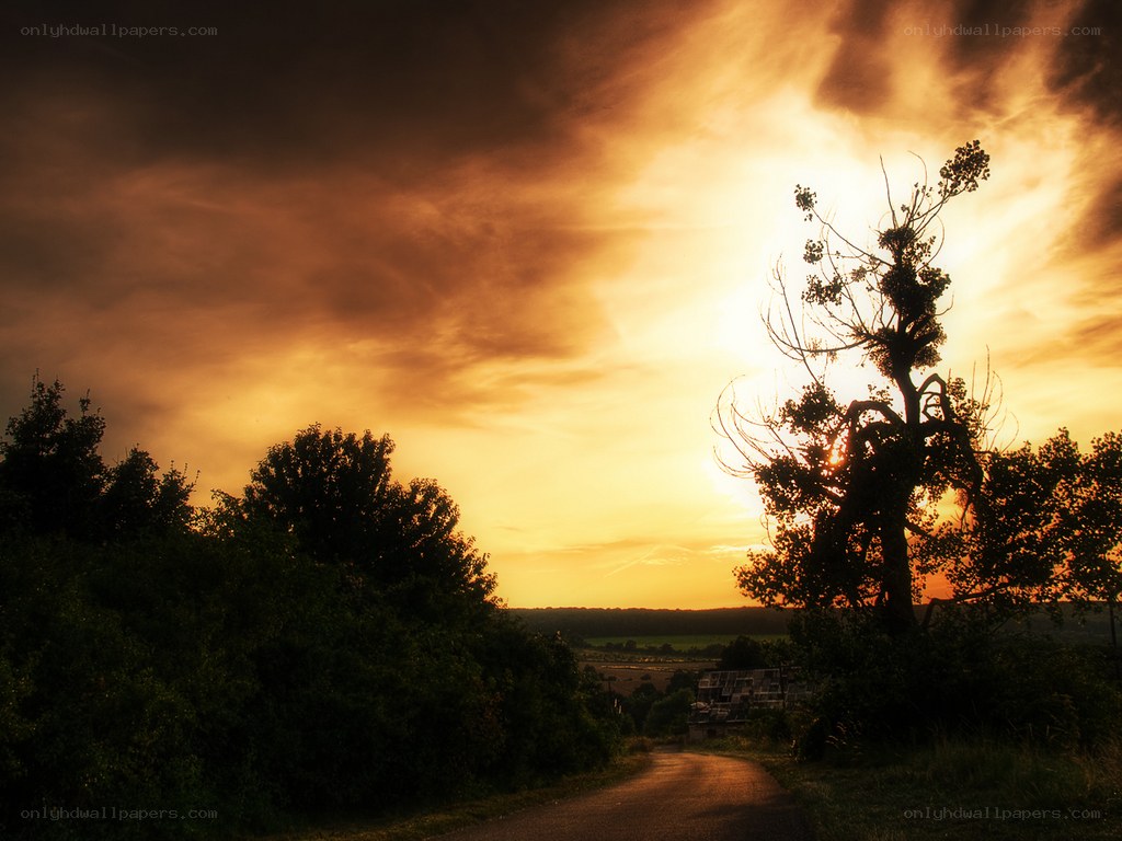 Sunset on a country road