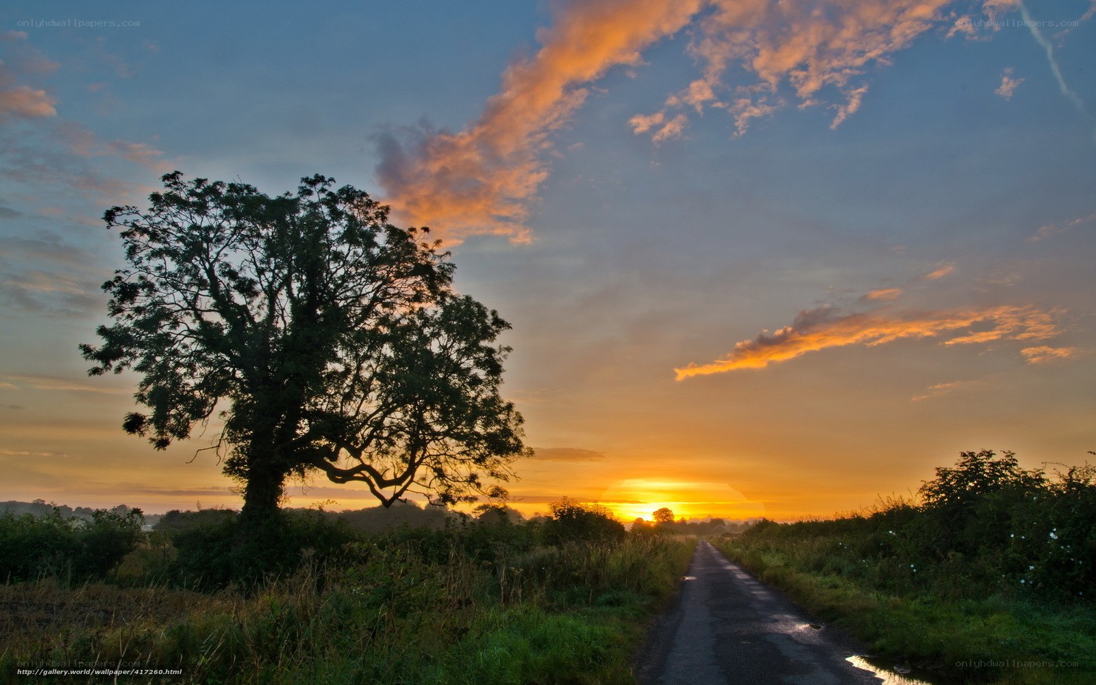 Sunset on a country road