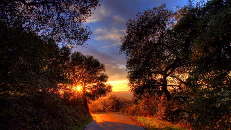 Sunset on a Country Road — Orange