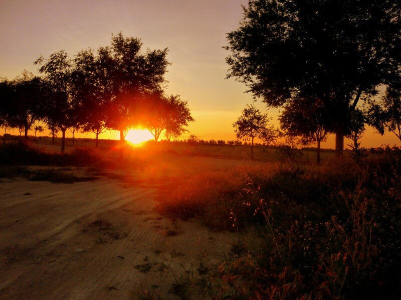 Sunset on a dirt road