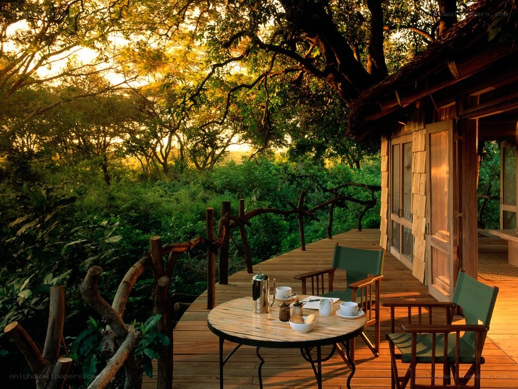 Sunset on a forest deck