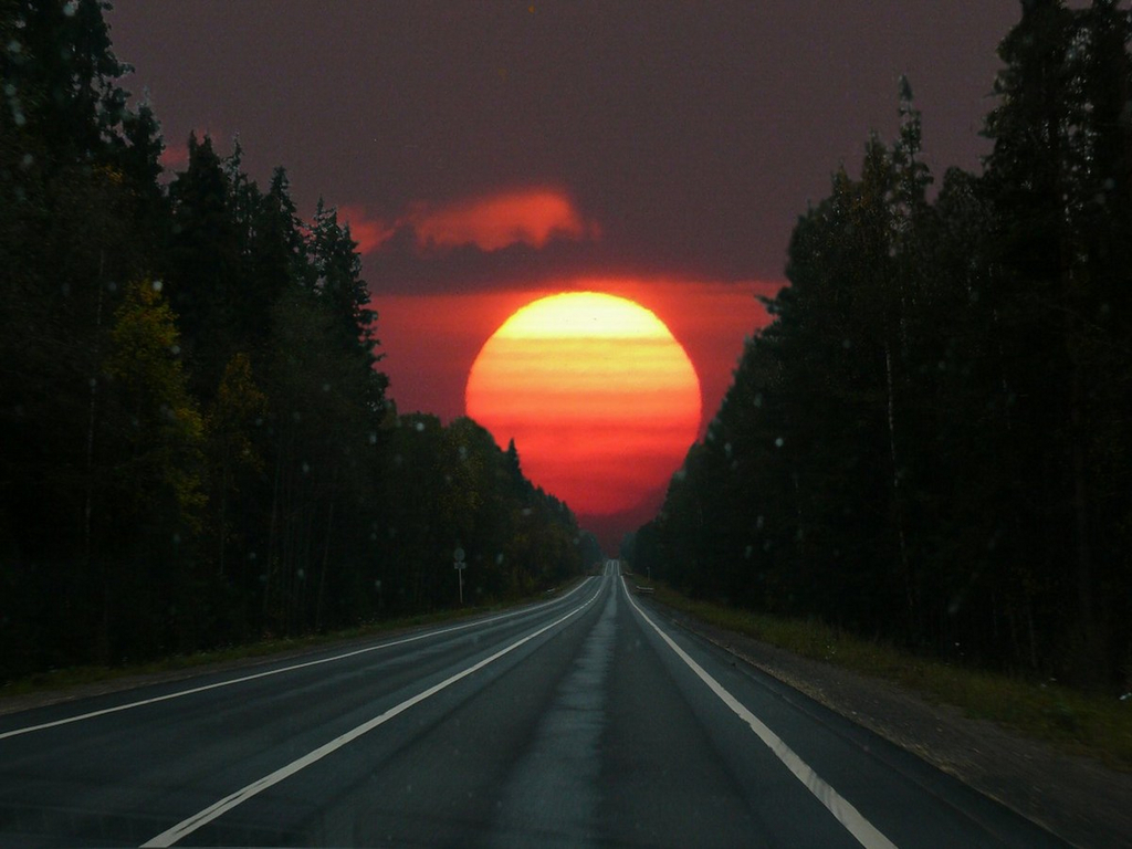 Sunset on a forest road