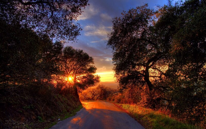 Sunset on a Forest Road — Orange