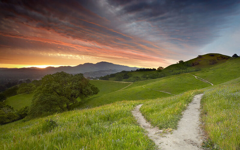 Sunset on a green hillside trail