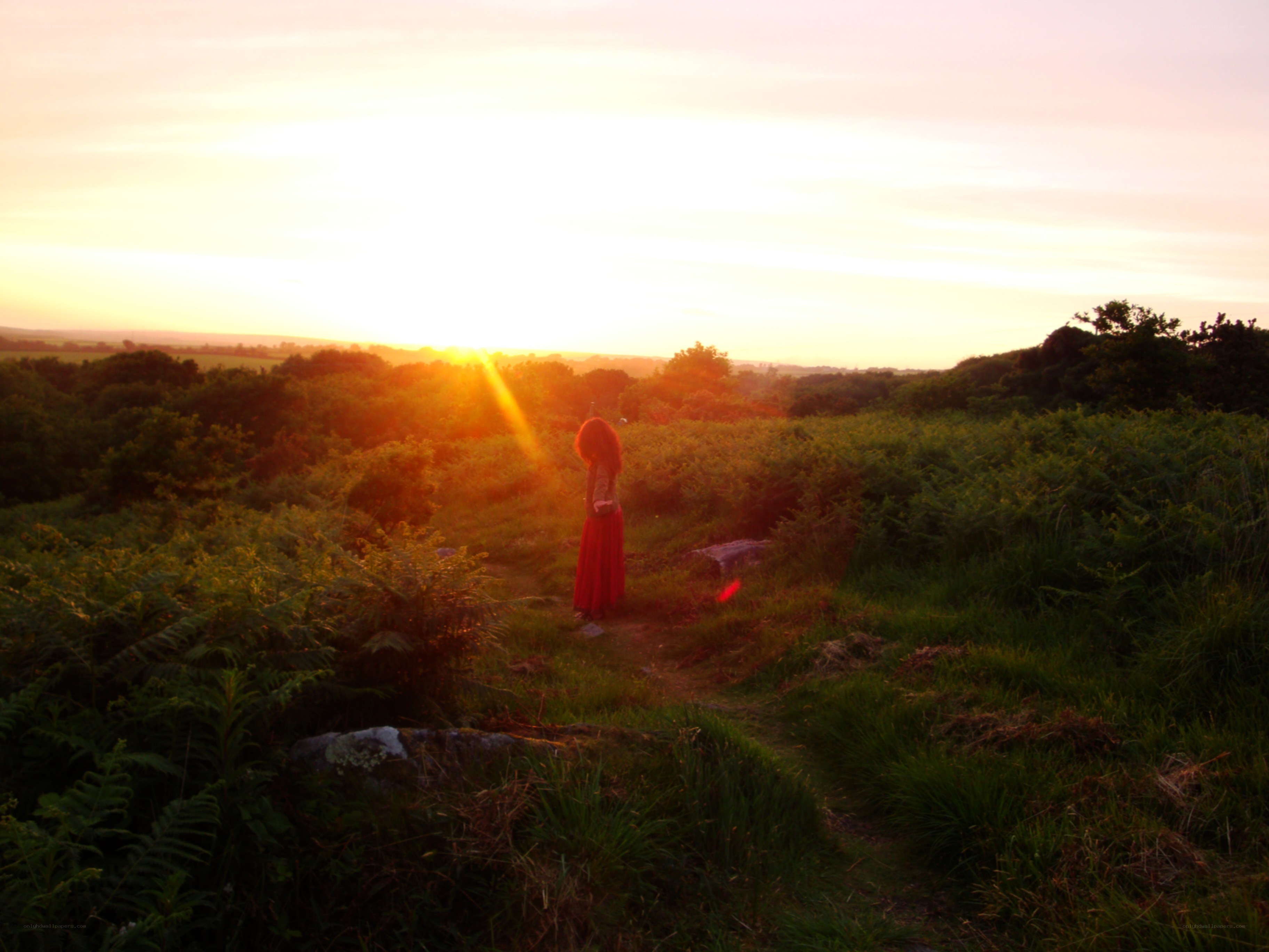 Sunset on a hillside path