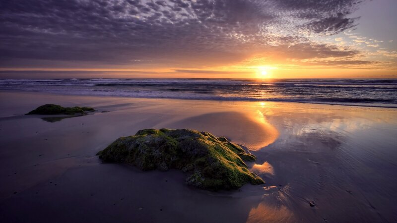 Sunset on a mossy beach