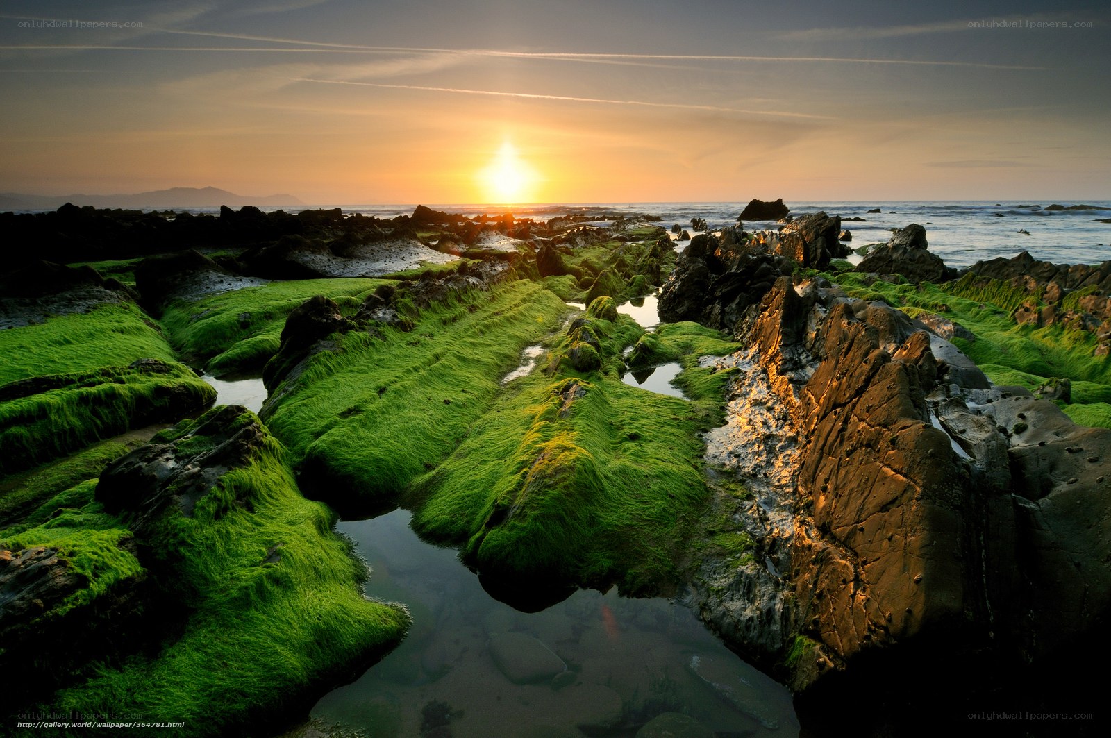 Sunset on a mossy rocky shore