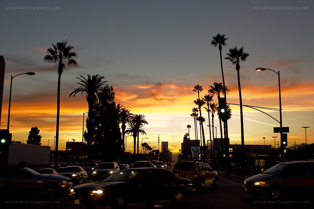 sunset on a palm-lined street