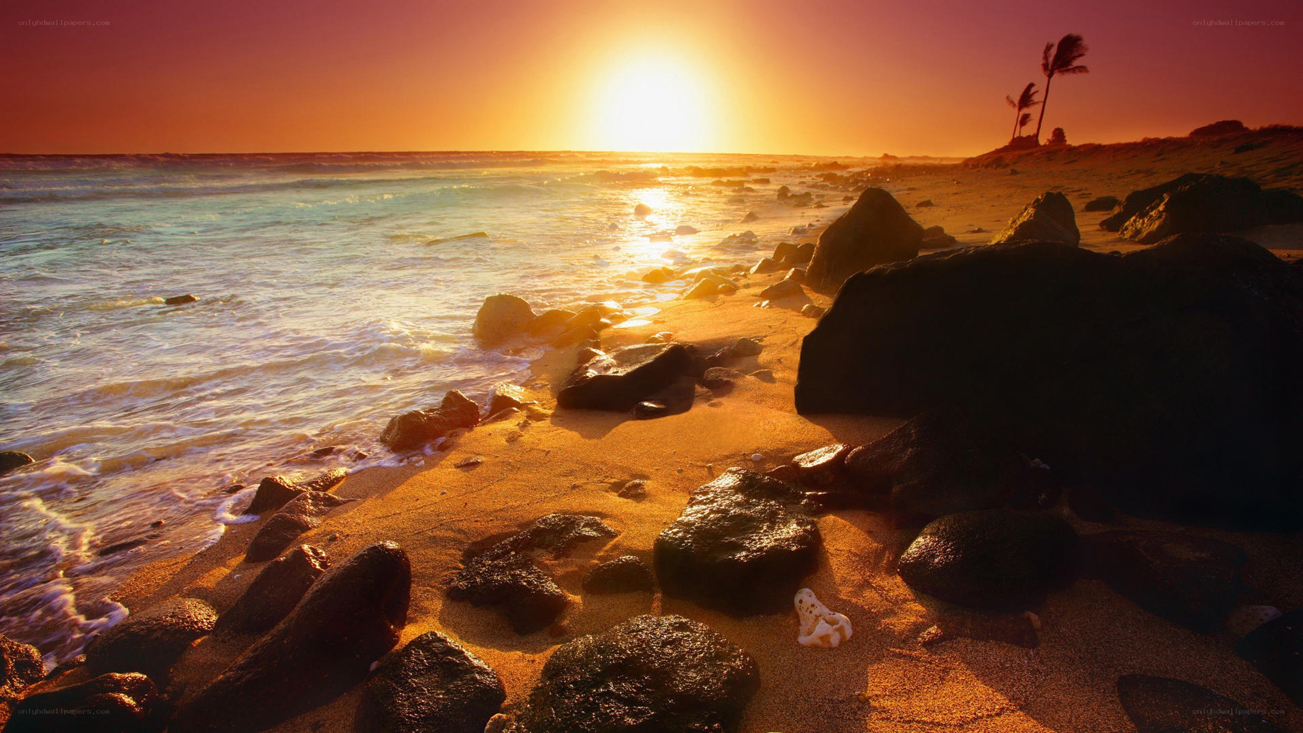 sunset on a rocky beach