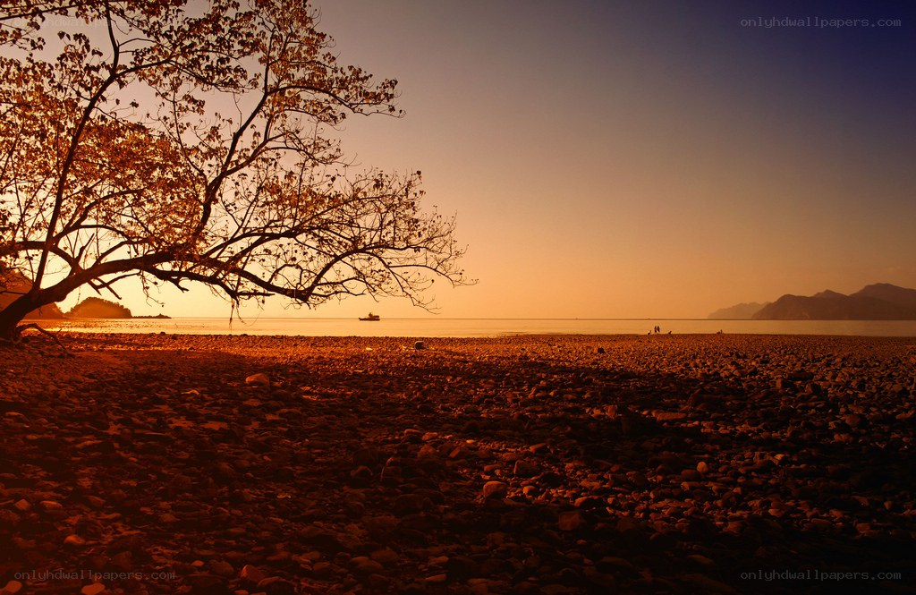 Sunset on a rocky beach