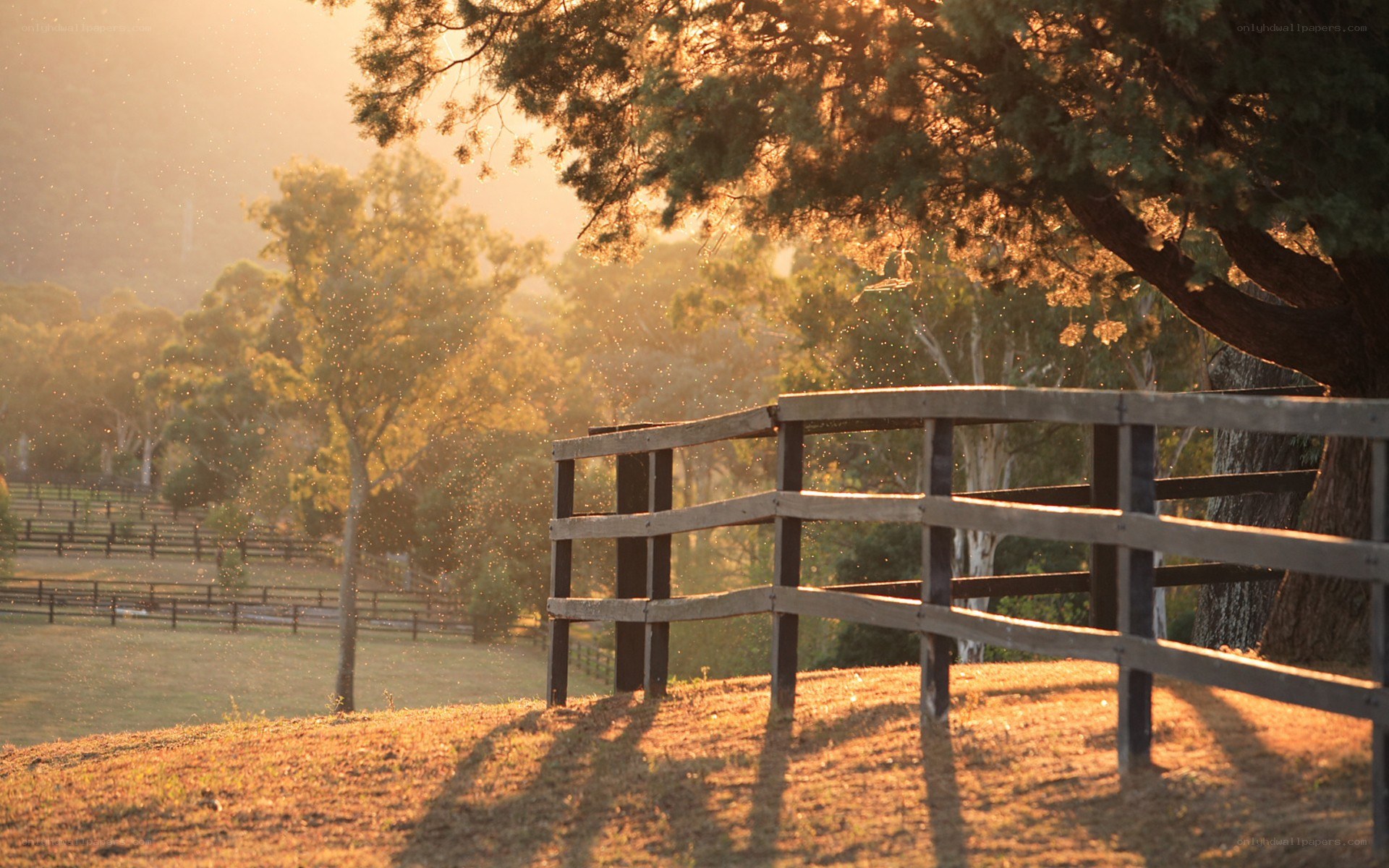 Sunset on a rural farm