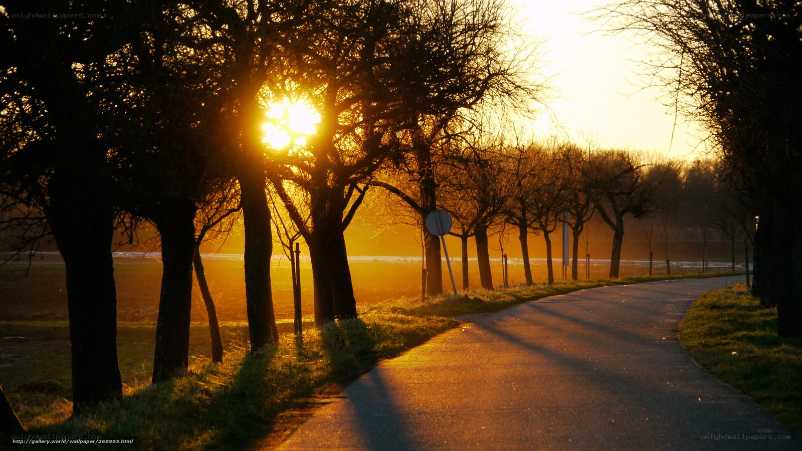 Sunset on a rural path