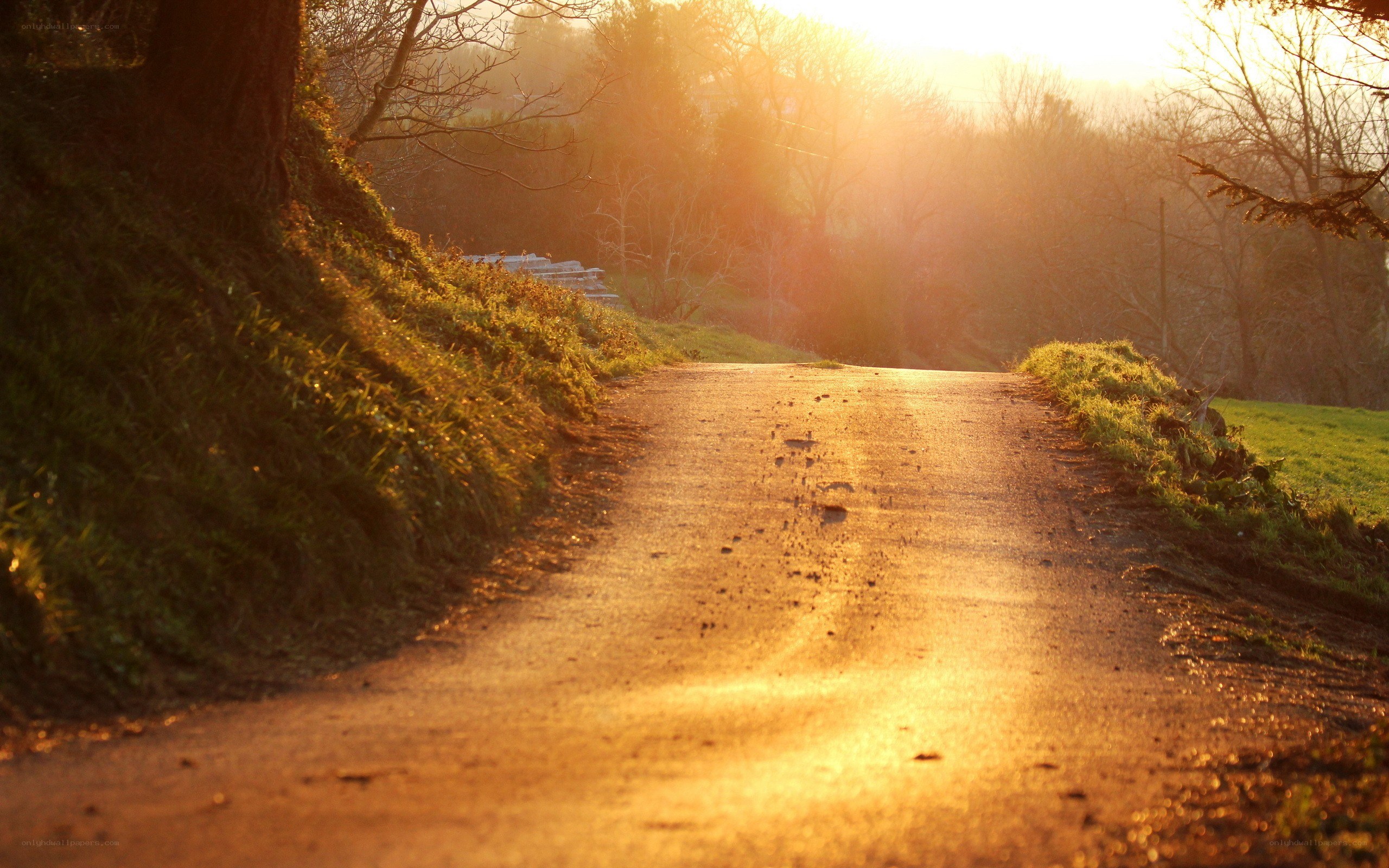 Sunset on a rural road