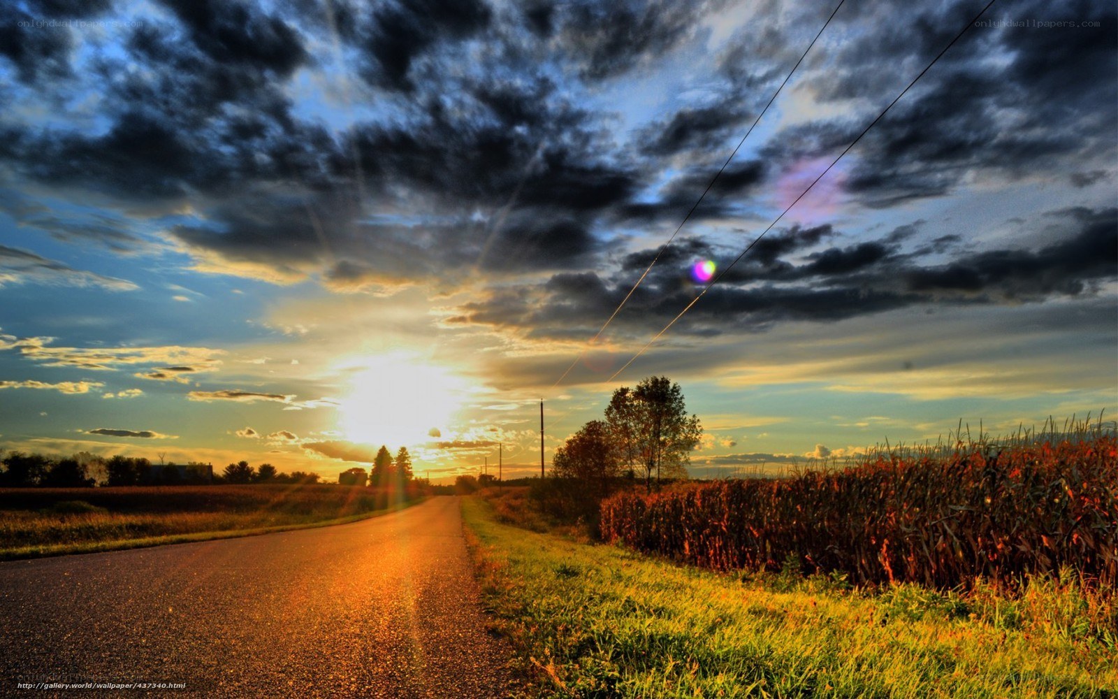 Sunset on a rural road