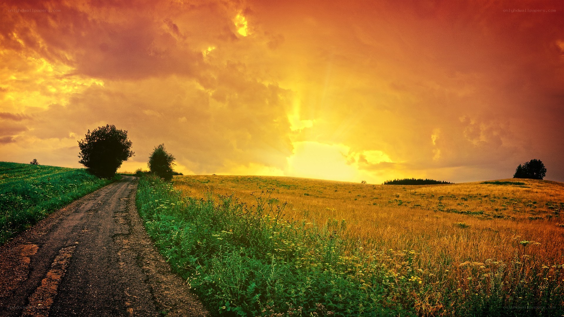Sunset on a rural road