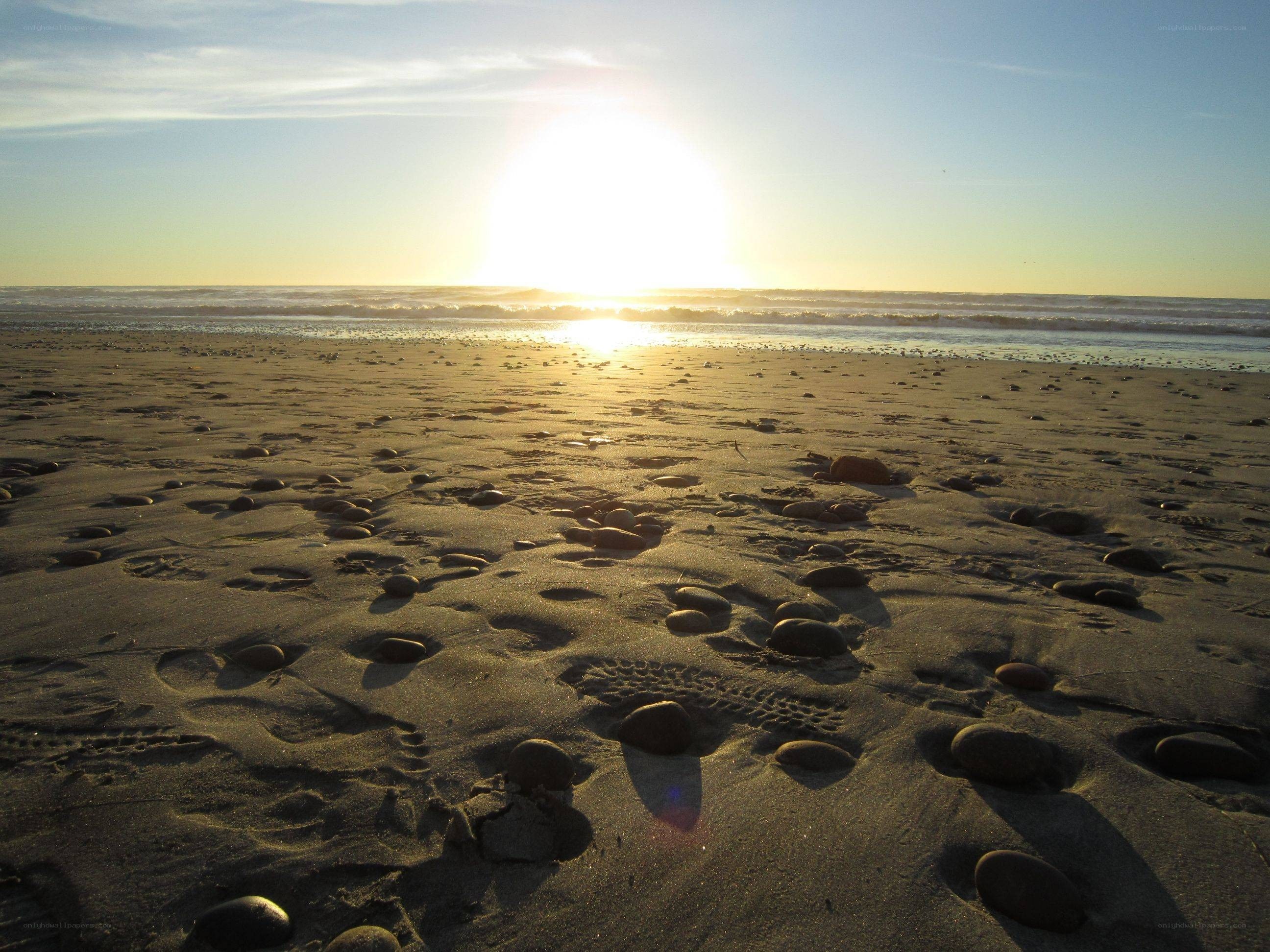 sunset on a sandy beach