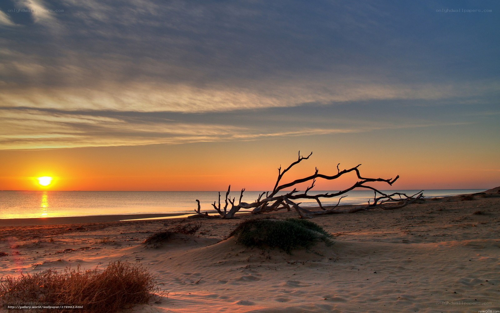 Sunset on a sandy beach