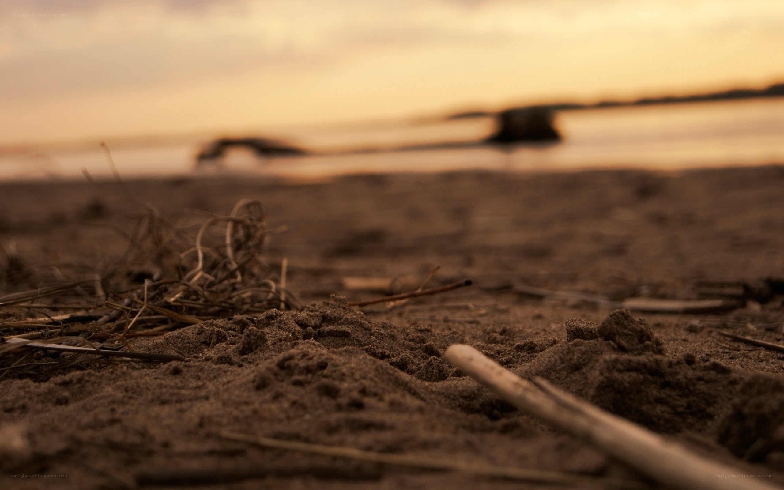 sunset on a sandy shore