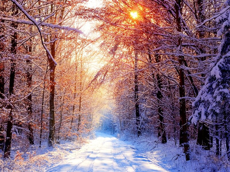 Sunset on a snowy forest path