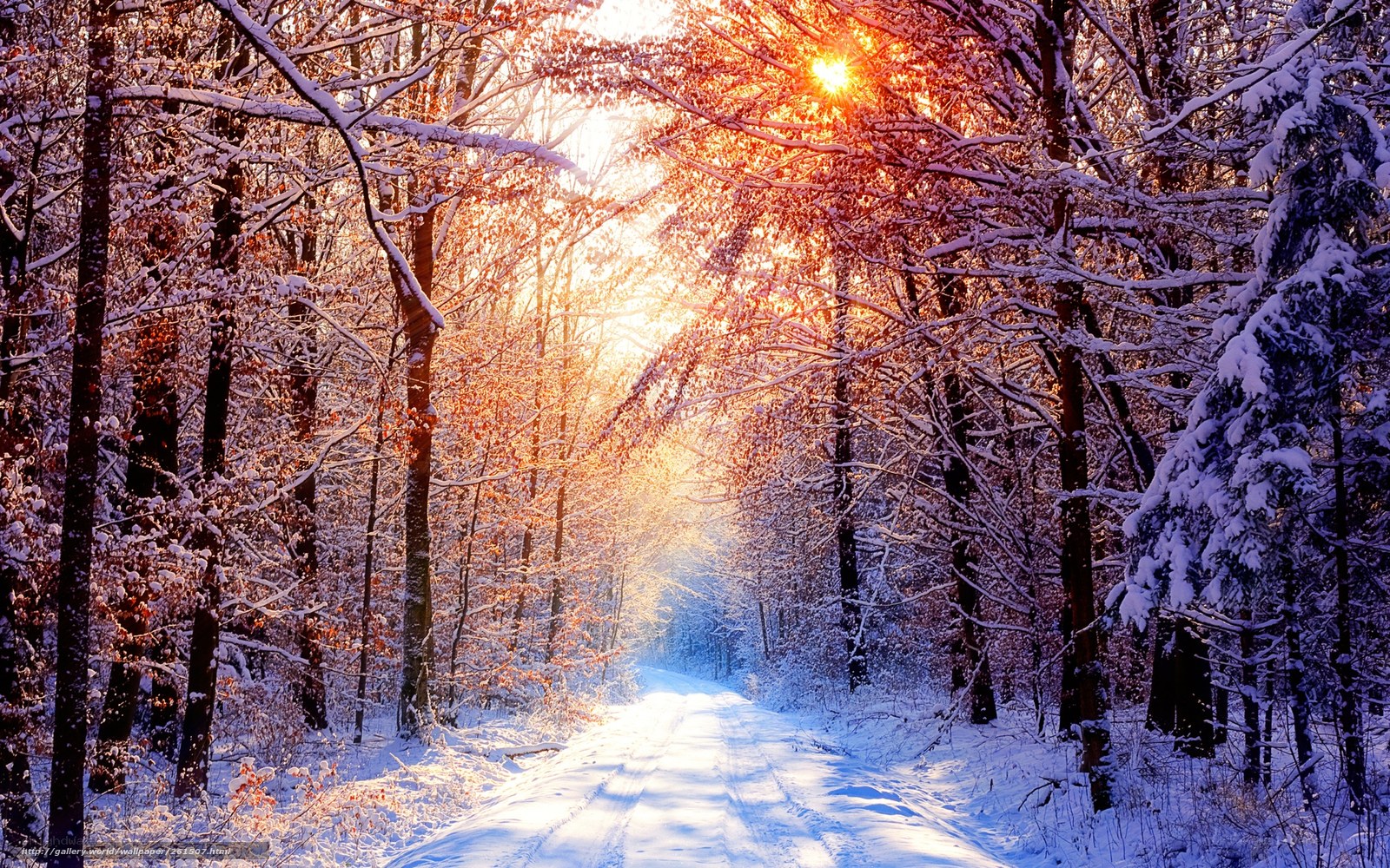 Sunset on a snowy forest path