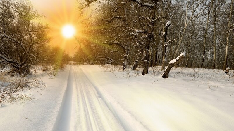 Sunset on a snowy forest path