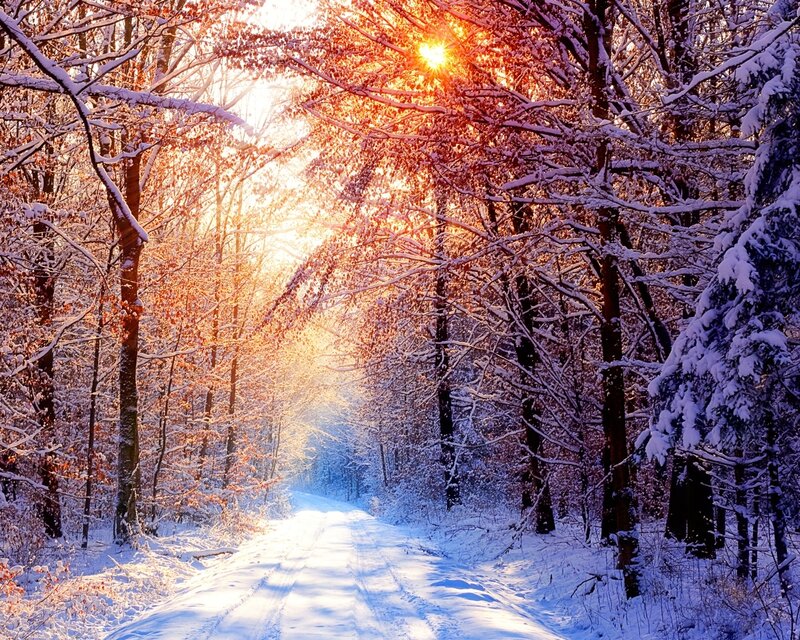 Sunset on a snowy forest path