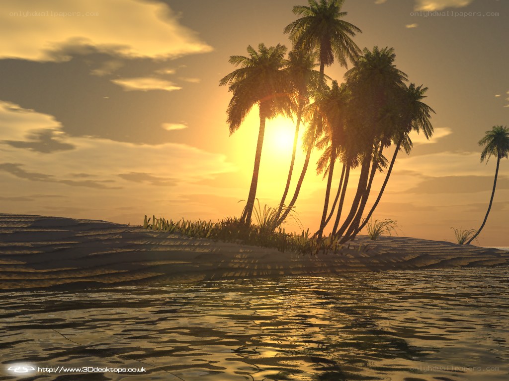 sunset on a tropical island