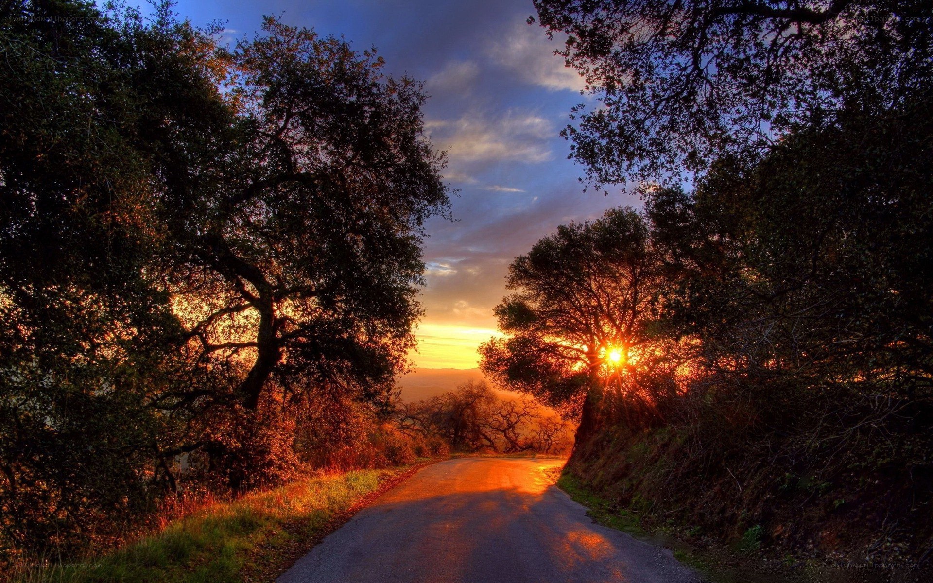 Sunset on a winding road