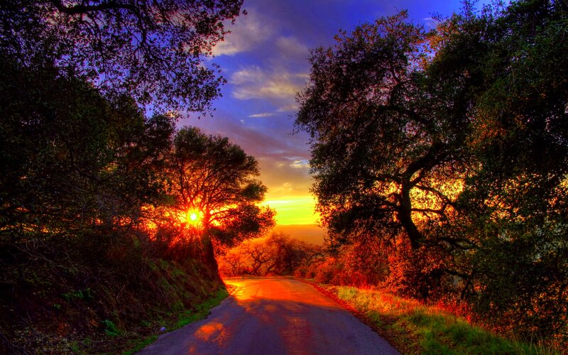 Sunset on a Winding Road — Orange