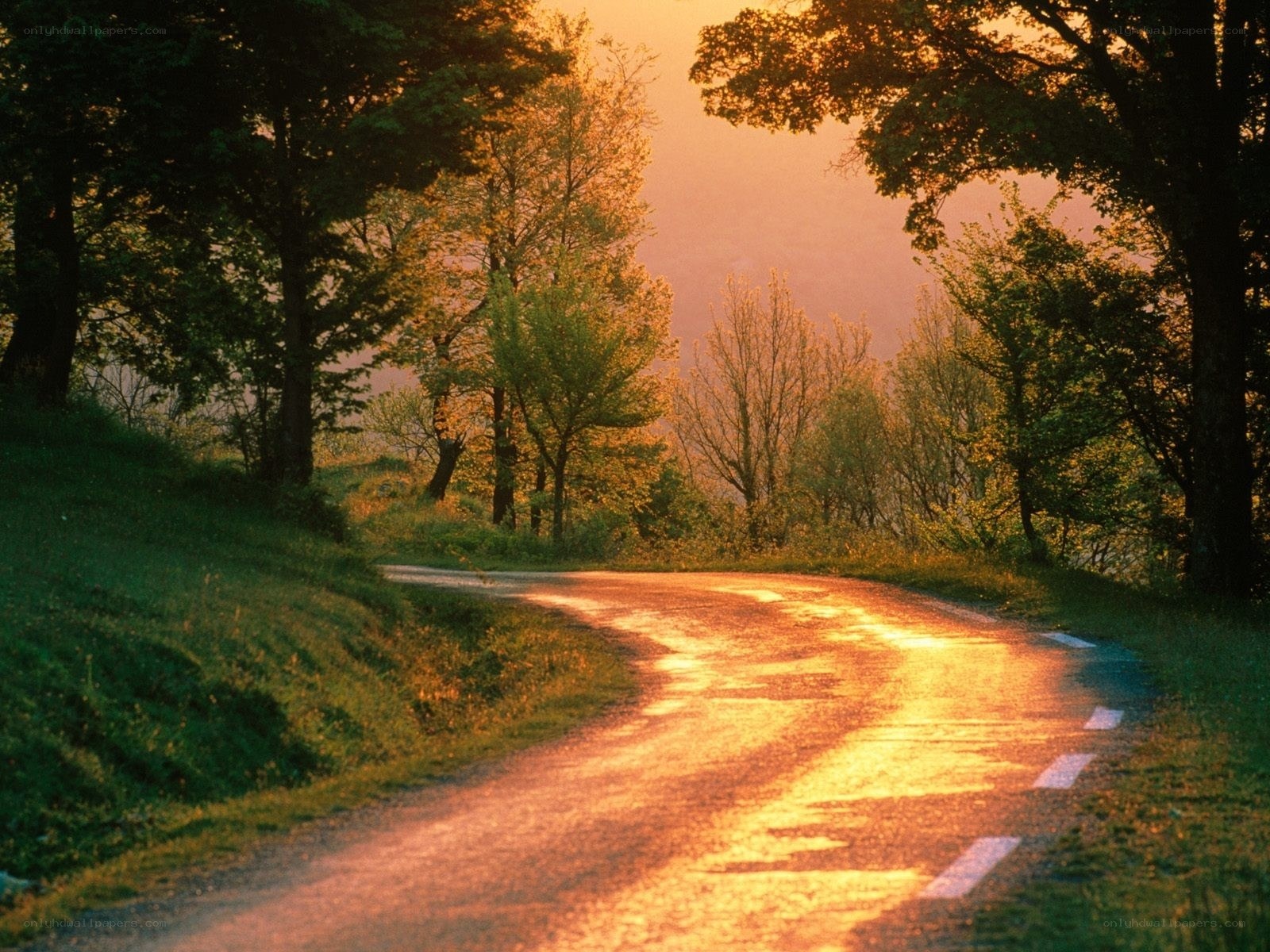 Sunset on a winding road