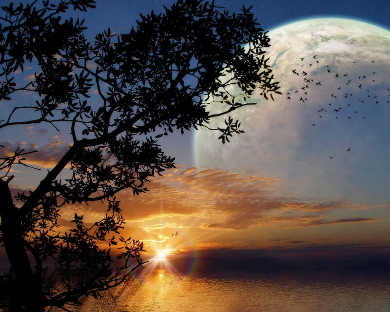 Sunset on Alien Planet — Orange, Serene