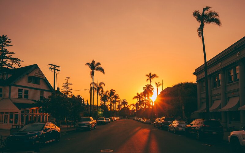 Sunset on Palm-lined Street