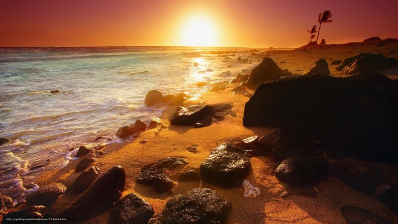 Sunset on Rocky Beach — Orange, Serene, Photograph, Ocean