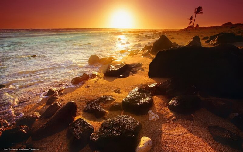 Sunset on Rocky Beach — Orange, Serene