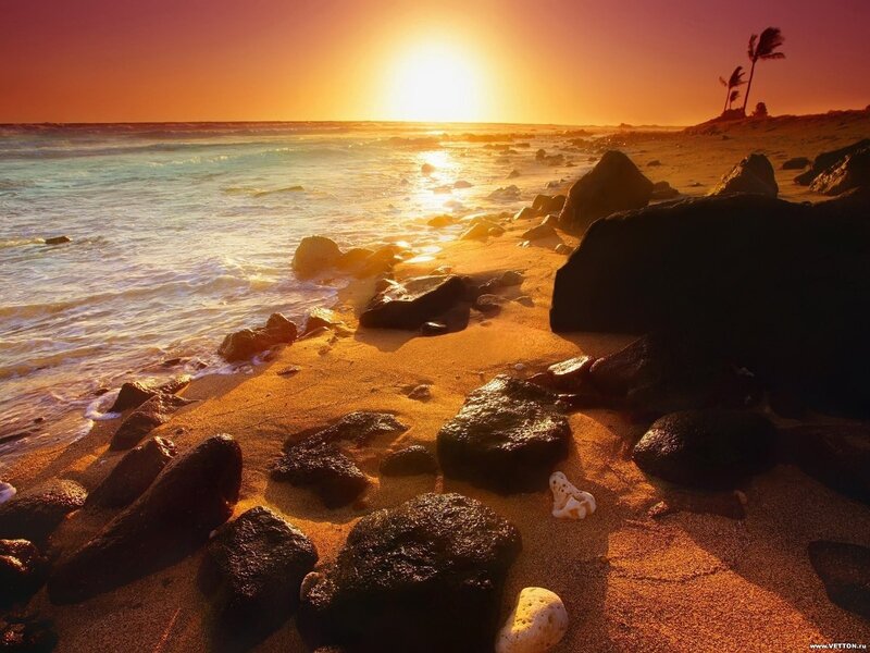 Sunset on Rocky Beach — Orange