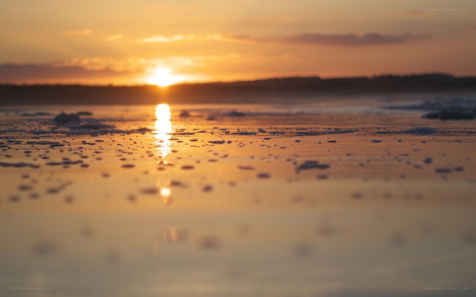sunset on the beach