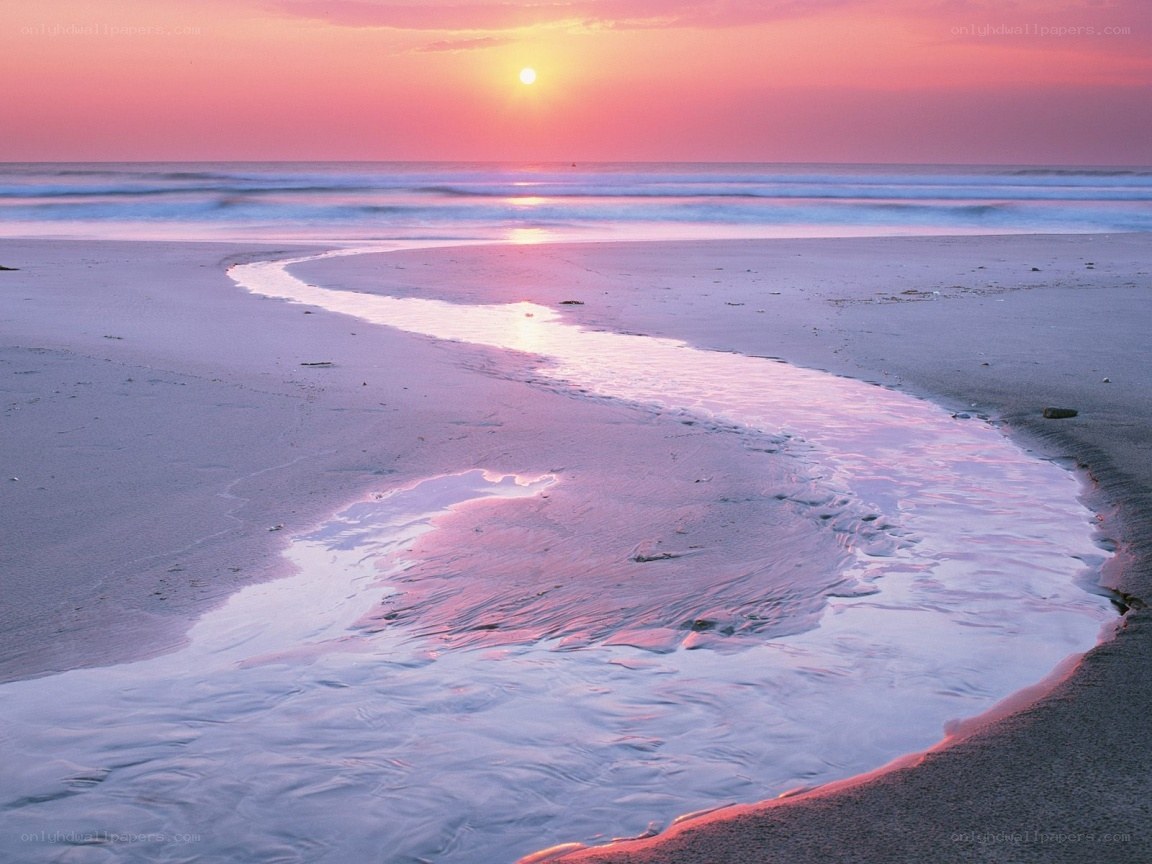 sunset on the beach