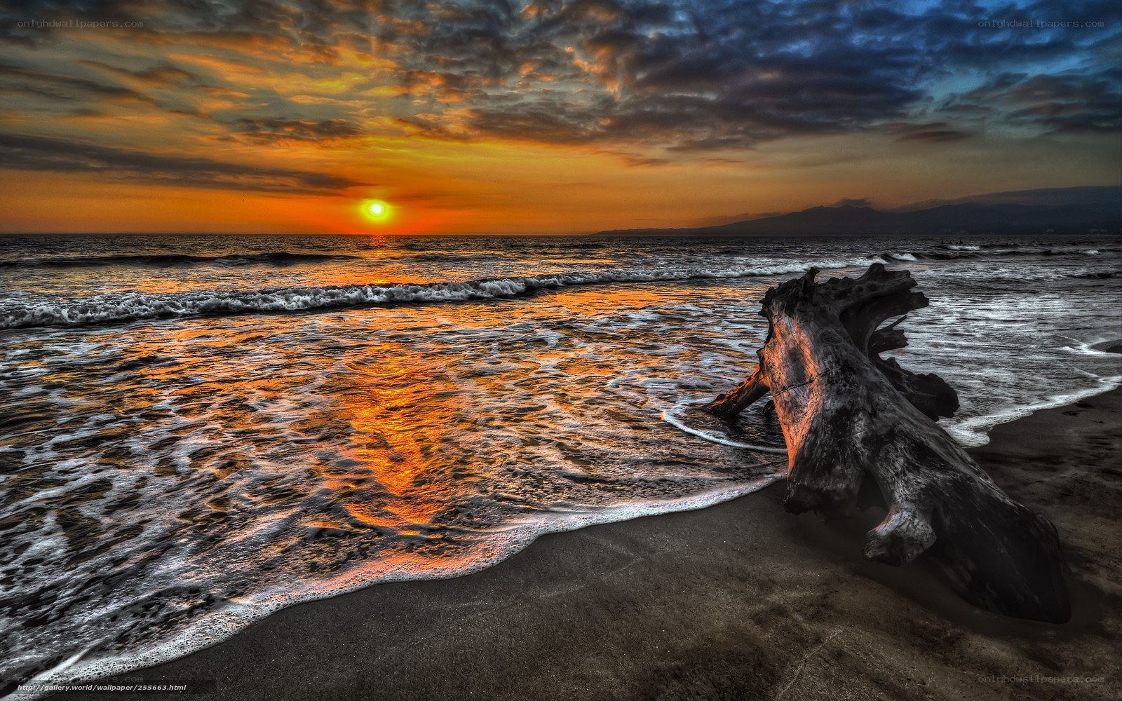 Sunset on the beach with driftwood