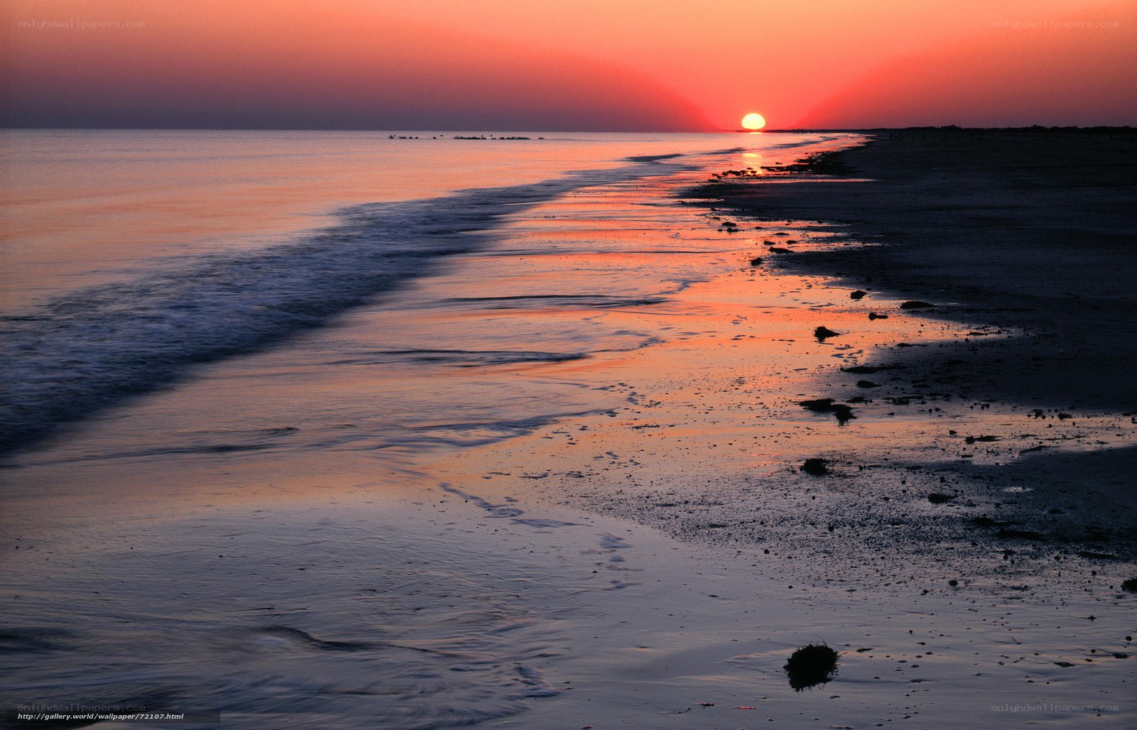 sunset on the beach