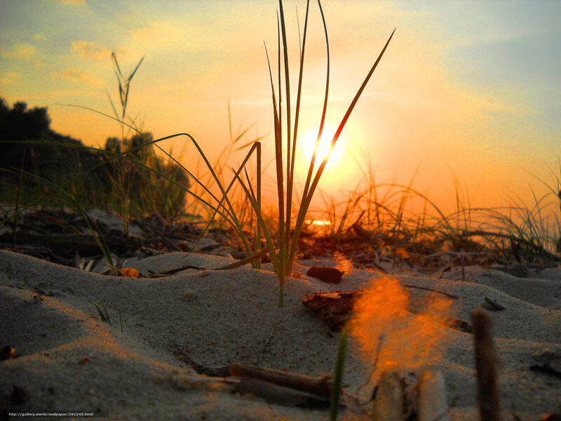 Sunset on the dunes